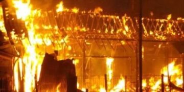 KKB Papua Bakar Sekolah di Begoa saat Diburu TNI-Polri Usai Tembak Guru SD