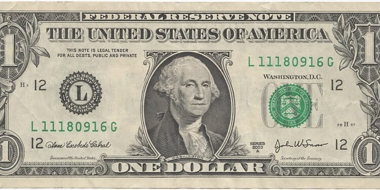 Is De-Dollarization the End of Dollar Dominance? A Closer Look at the Global Financial Order